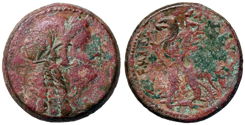 GRECHE - RE TOLEMAICI - Tolomeo VI, Filometore (180-145 a.C.) - AE 29 - Testa di...