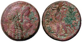 GRECHE - RE TOLEMAICI - Tolomeo VI, Filometore (180-145 a.C.) - AE 29 - Testa di Cleopatra a d. /R Aquila stante a s. e monogramma nel campo Sear 7903...