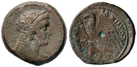 GRECHE - RE TOLEMAICI - Tolomeo VI, Filometore (180-145 a.C.) - AE 28 - Testa di Cleopatra a d. /R Aquila stante a s. e monogramma nel campo Sear 7903...