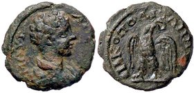 ROMANE PROVINCIALI - Caracalla (198-217) - AE 12 - Busto laureato a d. /R Aquila stante con corona nel becco (AE g. 2,18)
BB-SPL