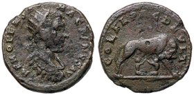 ROMANE PROVINCIALI - Macrino (217-218) - AE 22 - Testa radiata a d. /R La lupa a d. allatta i Gemelli (AE g. 7,18)
BB