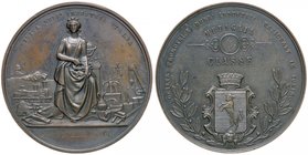 MEDAGLIE - CITTA' - Torino - Medaglia Società promotrice dell'industria nazionale AE Ø 67
qSPL
