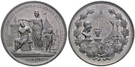 MEDAGLIE - CITTA' - Torino - Medaglia 1884 - Esposizione Generale Italiana MB Opus: Bianchi - Speranza Ø 54
SPL