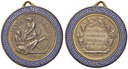 MEDAGLIE - FASCISTE - Medaglia 1936 A. XIV - Festa dell'uva - Ispettorato Agrario Provinciale - Bacco sdraiato a d. riceve un grappolo d'uva da una Ba...