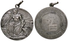 MEDAGLIE - FASCISTE - Medaglia Provincia di Gorizia - Figura femminile con simboli delle varie attività e fascio /R Scritta circolare attorno a cerchi...