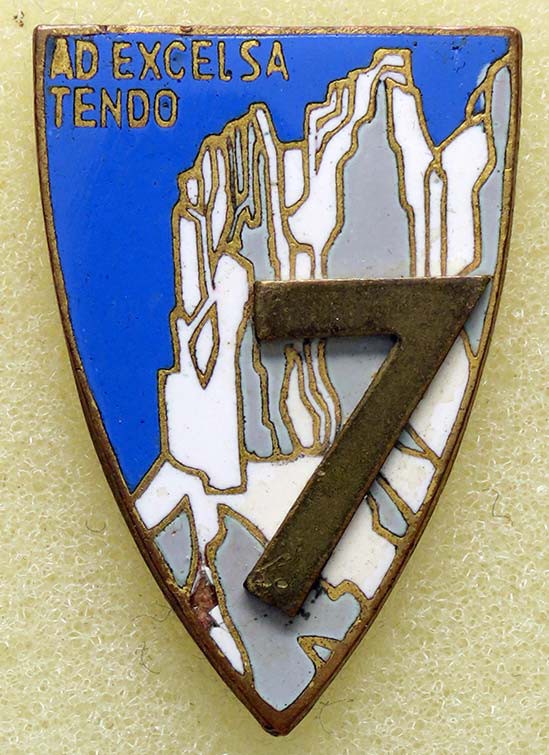 MEDAGLIE - FASCISTE - Distintivo VII reggimento alpino AE
SPL