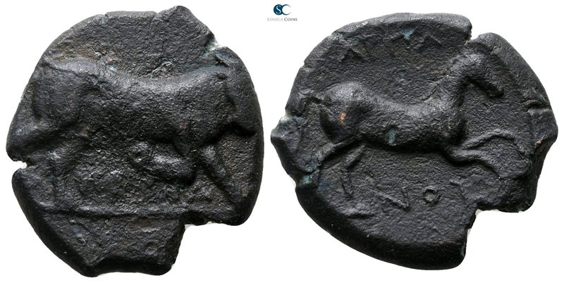Apulia. Arpi 275-250 BC. 
Bronze Æ

21 mm., 7.38 g.



very fine