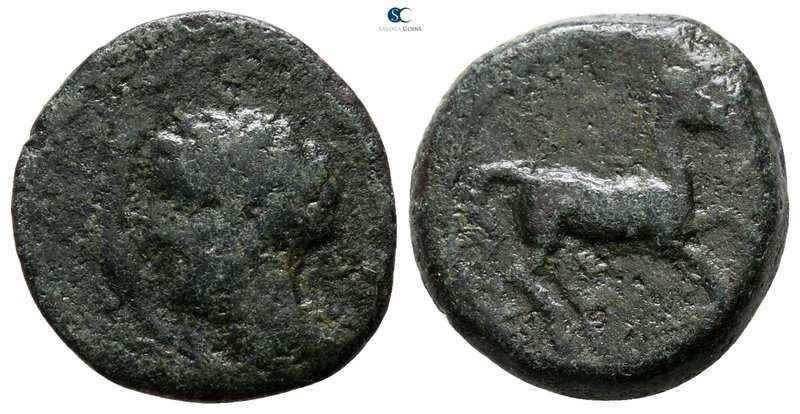 Sicily. Carthaginian Domain 375-350 BC. 
Bronze Æ

15 mm., 3.07 g.



fin...