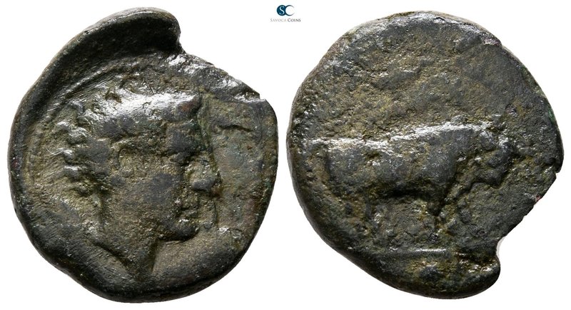 Sicily. Gela circa 420-405 BC. 
Tetras or Trionkion Æ (?)

18 mm., 3.45 g.
...