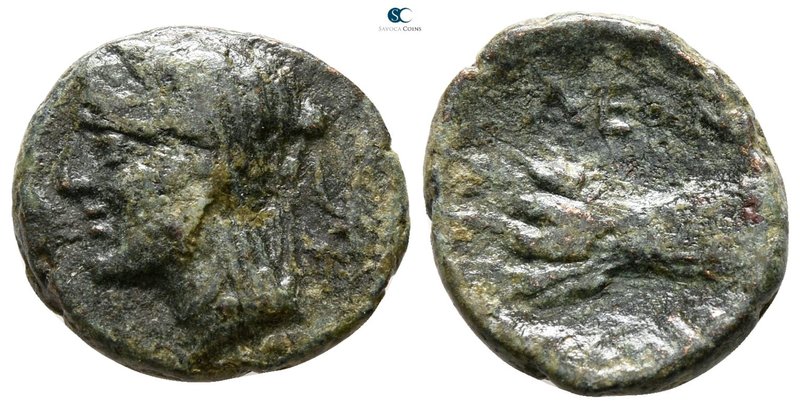 Sicily. Leontinoi circa 207-200 BC. 
Bronze Æ

15 mm., 2.64 g.



nearly ...