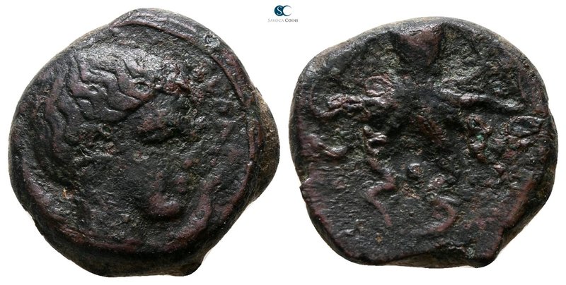 Sicily. Syracuse. Second Democracy 466-405 BC. 
Tetras Æ

15 mm., 3.63 g.

...