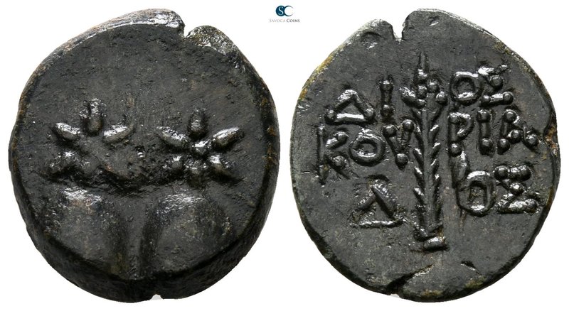Colchis. Dioskourias circa 105-90 BC. 
Bronze Æ

15 mm., 2.28 g.



very ...
