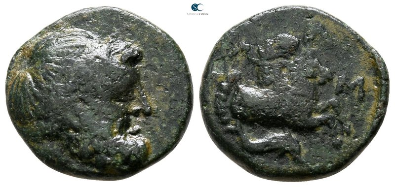 Mysia. Lampsakos 400-300 BC. 
Bronze Æ

15 mm., 3.14 g.



very fine
