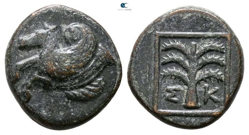 Troas. Skepsis circa 350-300 BC. 
Bronze Æ

10 mm., 1.31 g.



very fine