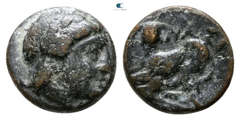 Lesbos. Nesos circa 400-300 BC. 
Bronze Æ

7 mm., 0.69 g.



nearly very ...