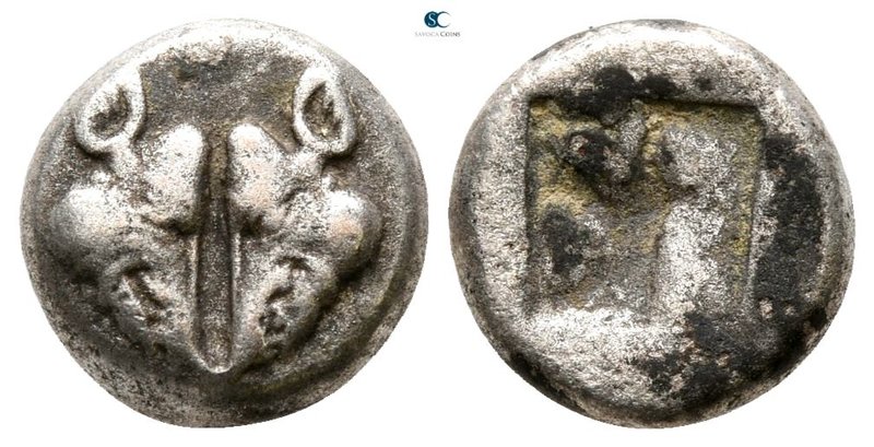 Lesbos. Uncertain mint 500-450 BC. 
Diobol AR

0.8 mm., 1.23 g.



very f...
