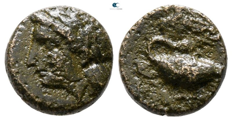 Ionia. Leukai 350-300 BC. 
Bronze Æ

10 mm., 1.43 g.



nearly very fine