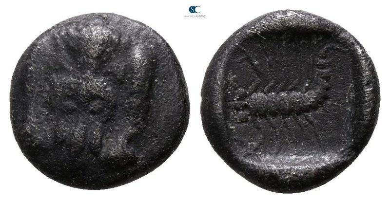 Caria. Mylasa 450-400 BC. 
Obol AR

7 mm., 0.56 g.



nearly very fine