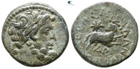 Seleucis and Pieria. Antioch 13-14 AD. Bronze Æ