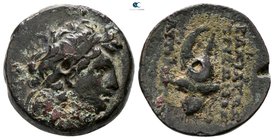 Seleukid Kingdom. Tryphon 142-138 BC. Bronze Æ