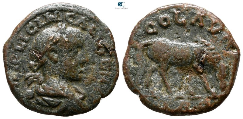 Troas. Alexandreia. Gallienus AD 253-268. 
Bronze Æ

20 mm., 4.33 g.



n...