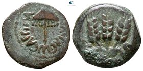 Judaea. Jerusalem. Agrippa I AD 37-43. Bronze Æ
