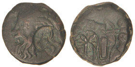 AE 22. 310-280 a.C. ESCITIA. OLBIA. Anv.: Cabeza del dios Borysthenes, a izquierda contramarca. Rev.: Hacha y arco en carcaj, contramarca. 9,42 grs. A...