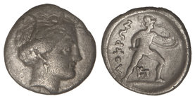 Hemidracma. 369-338 a.C. LOKRIS OPUNTIA. Anv.: Cabeza de Perséfone a derecha. Rev.: ¶OK¶N. Ayax desnudo con casco a derecha, con espada y casco, debaj...