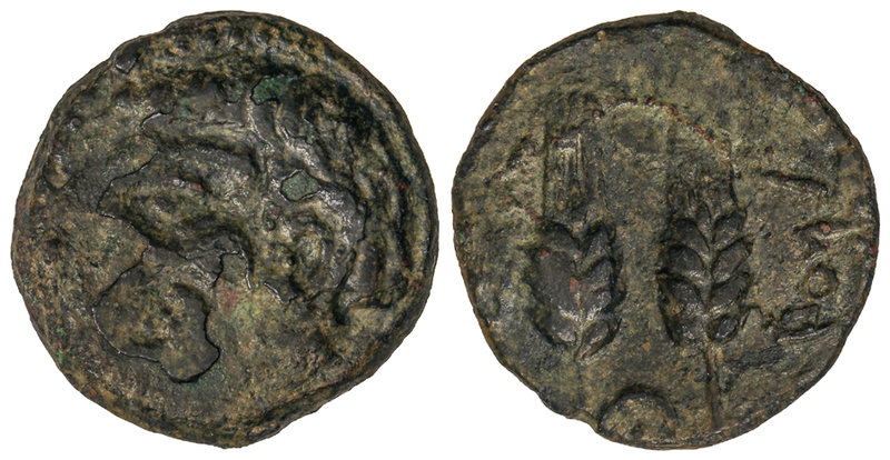 AE 25. Siglo I a.C. TINGIS. Anv.: Cabeza barbada de Baal a izquierda. Rev.: Dos ...