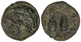 AE 25. Siglo I a.C. TINGIS. Anv.: Cabeza barbada de Baal a izquierda. Rev.: Dos espigas en pie, a derecha leyenda neopúnica, debajo creciente. 9,50 gr...