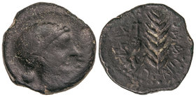 As. 120-20 a.C. ABRA (PORCUNA. Jaén). Anv.: Cabeza femenina a derecha, delante (ABRA). Rev.: Espiga y arado, alrededor inscripciones ibéricas. 13,76 g...
