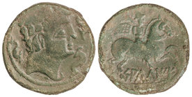 As. 120-30 a.C. SALDUIE (ZARAGOZA). Anv.: Cabeza masculina a derecha, rodeada por tres delfines. Rev.: Jinete con palma a derecha, debajo leyenda ibér...
