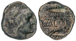As. 50 a.C. CALLET (EL CORONIL, Sevilla). Anv.: Cabeza de Hércules, con piel de león a derecha. Rev.: Dos espigas a izquierda, entre ambas CALLET. 13,...