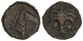 1/2 Calco. 220-215 a.C. ACUÑACIONES HISPANO-CARTAGINESAS. Anv.: Cabeza de caballo a derecha. Rev.: Palmera. 5,80 grs. AE. Pátina oscura. AB-519. MBC....
