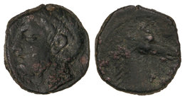 1/4 Calco. 220-209 a.C. ACUÑACIONES HISPANO-CARTAGINESAS. Anv.: Cabeza masculina a izquierda. Rev.: Cabeza de caballo a derecha. 2,40 grs. AE. Pátina ...