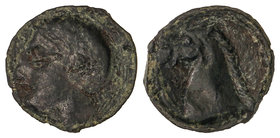1/4 Calco. 220-209 a.C. ACUÑACIONES HISPANO-CARTAGINESAS. Anv.: Cabeza masculina a izquierda. Rev.: Cabeza de caballo a izquierda. 2,25 grs. AE. Pátin...