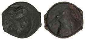 1/4 Calco. 220-205 a.C. ACUÑACIONES HISPANO-CARTAGINESAS. Anv.: Cabeza de Tanit a derecha. Rev.: Cabeza de caballo a izquierda. 2,25 grs. AE. Pátina o...