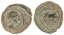 Cuadrante. 214-212 a.C. CASTULO (CAZLONA, Jaén). Anv.: Cabeza masculina diademada a derecha. Rev.: Jabalí a derecha, encima estrella, debajo leyenda i...