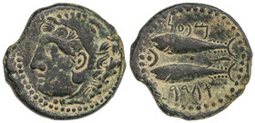 As. 100-20 a.C. GADES (CÁDIZ). Anv.: Cabeza de Hércules con piel de león a izquierda, detrás clava. Rev.: Dos atunes a izquierda, arriba y abajo leyen...
