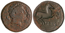 Semis. 220-200 a.C. ILTIRTA. Anv.: Cabeza masculina a derecha, rodeada por tres delfines. Rev.: Caballo a derecha, debajo leyenda ibérica. 14,25 grs. ...