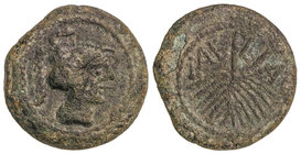 Semis. 50-20 a.C. LAELIA. Anv.: Cabeza con casco a derecha. Rev.: Palma, encima LAELIA. 9,55 grs. AE. Pátina verde. AB-1651; Vill-2. MBC.