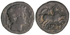 As. 120-20 a.C. LAGINE (Zona de Aragón). Anv.: Cabeza masculina a derecha rodeada por tres delfines. Rev.: Jinete con palma a derecha, debajo leyenda ...