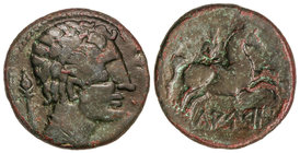 As. 120-20 a.C. LAURO. Anv.: Cabeza masculina a derecha, detrás cetro. Rev.: Jinete con palma a derecha, debajo leyenda ibérica. 11,40 grs. AE. Pátina...