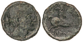 As. 120-20 a.C. LAURO (LLERONA, Barcelona). Anv.: Cabeza masculina a derecha, detrás cetro. Rev.: Jinete con palma a derecha, debajo leyenda ibérica. ...