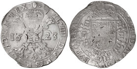 Philip IV. 1 Patagón. 1623. AMBERES. BRABANTE. 27,07 grs. AR. (Hojas). Van Houdt-645.AN: Vti-929. MBC.