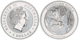 Australia. 1 Dólar. 2013. 31,29 grs. AR. Koala sentado en árbol. KM-1979. PROOF.