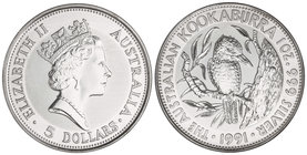 Australia. 5 Dólares. 1991. AR. Kookaburra en rama a derecha. En cápsula original. KM-138. PROOF.