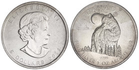 Canada. Lote 2 monedas de 5 Dólares. 2011 y 2012. ISABEL II. 31,20 grs. AR. Lobo y puma. KM-1052, 1164. FDC.