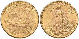 USA 20 Dollari 1924 - AU (g 33,40) Colpetti al bordo 
Grading/Stato:qSPL/SPL