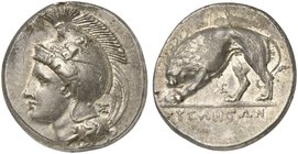 Lucania, Velia, Didrachm, ca. 334-300 BC
AR (g 7,79; mm 21; h 11)
Head of Athena l., wearing Phrygian helmet decorated with centauress; behind, mono...